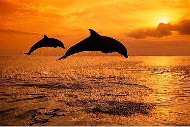 Embracer将保留地铁及弹珠FX系列开发团队