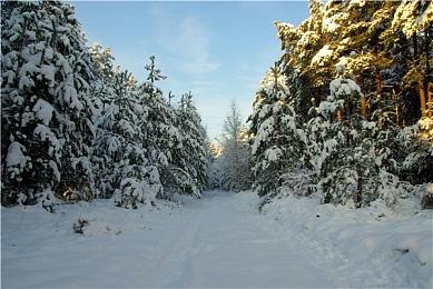 《街头霸王6》总玩家游戏数据公开 总战斗局数已达20亿